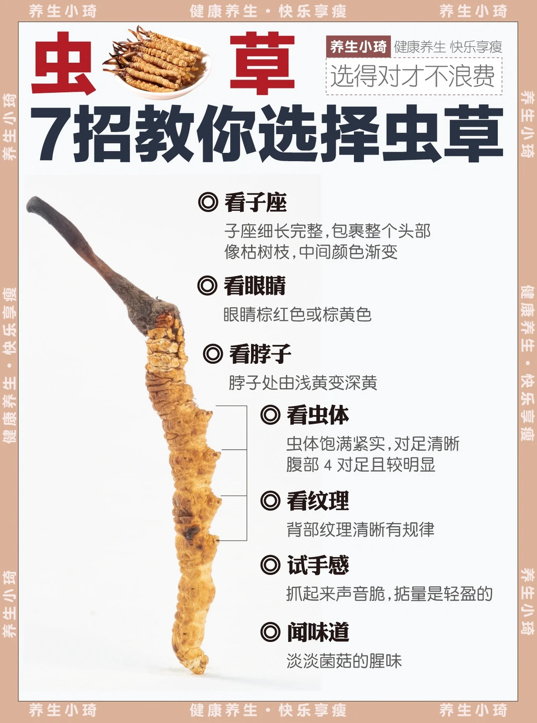 7招教你选对好冬虫🐛夏草｜内含养生吃法