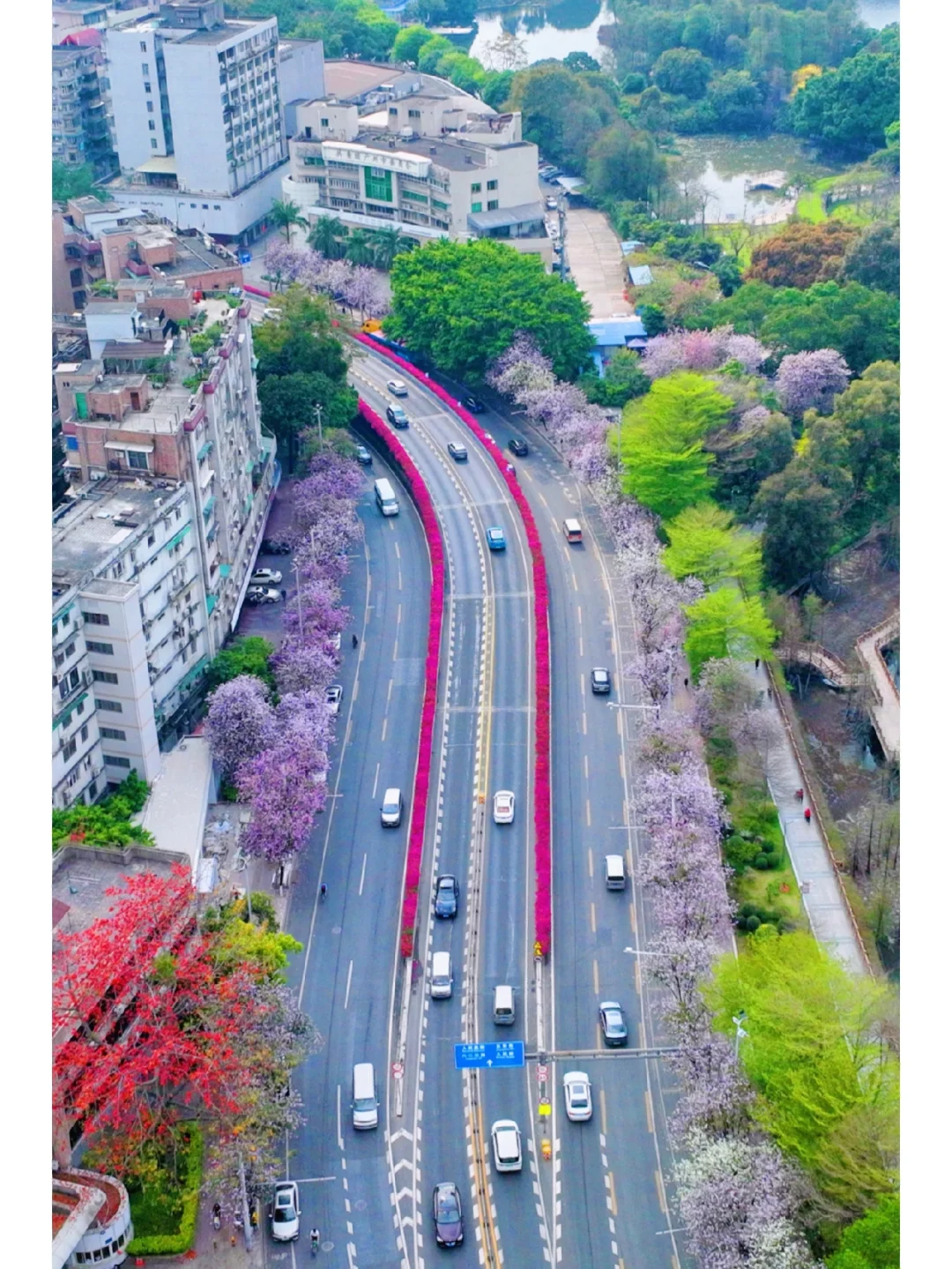 广州整了个“最美护栏”！是座浪漫的城市