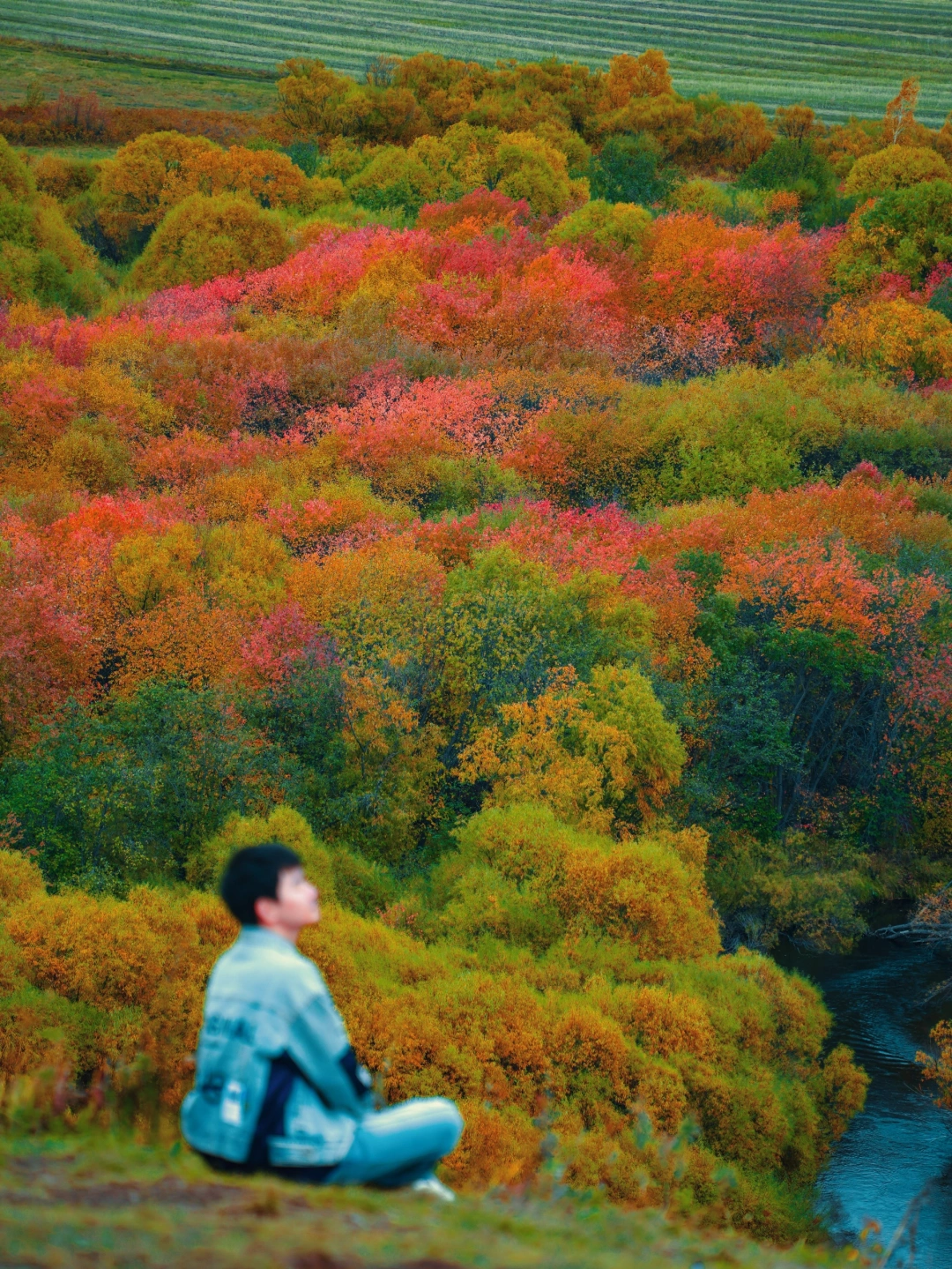 莫尔道嘎的秋天，是呼伦贝尔的秋色明信片