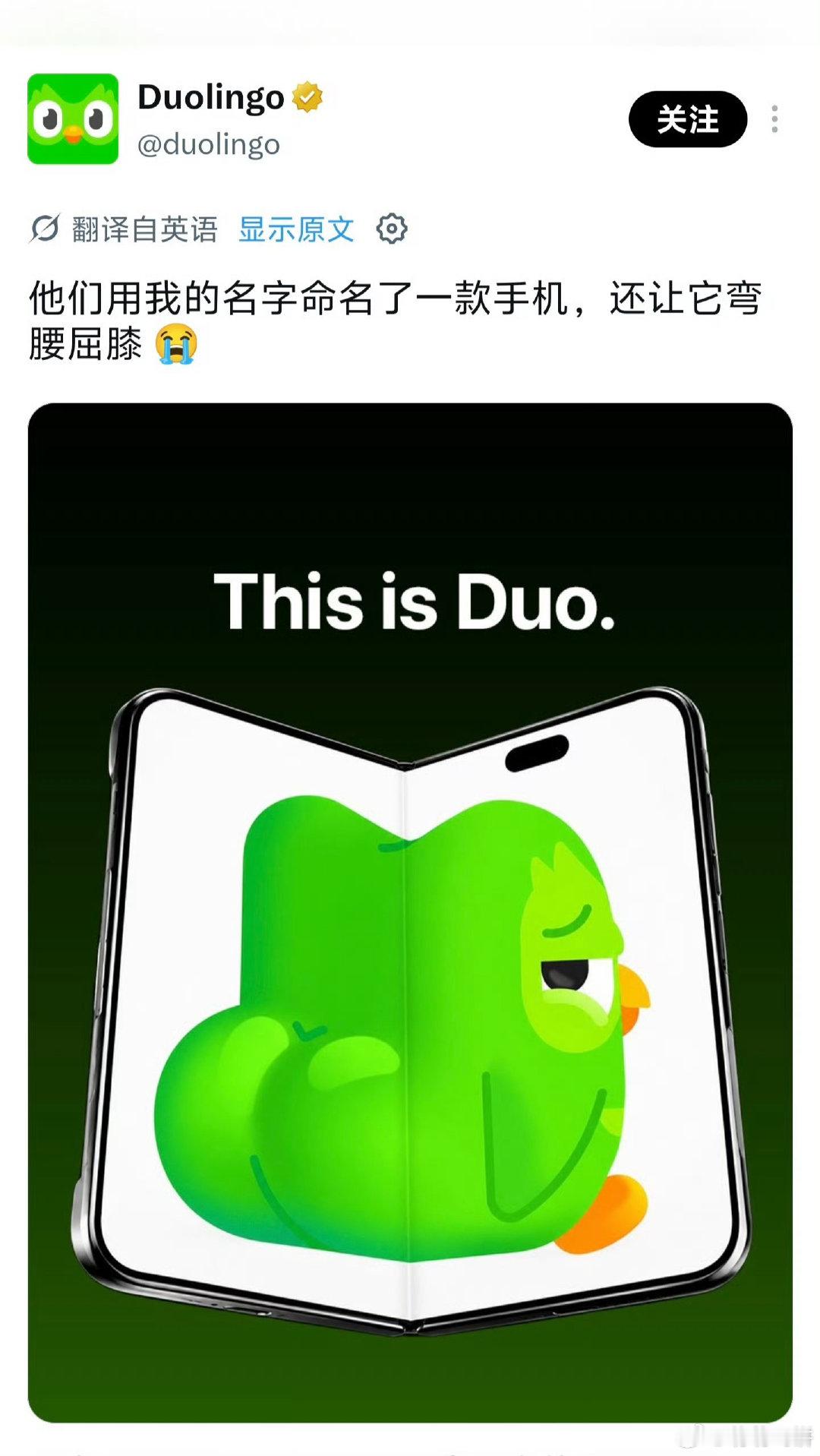 多邻国开撕iPhone Duo，说实话有点莫名其妙，小绿鸟怎么到处飞。 ​