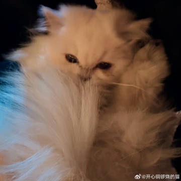 今日份和上上妈对其颗粒度<br />我：医生咋说<br />上上妈：医...