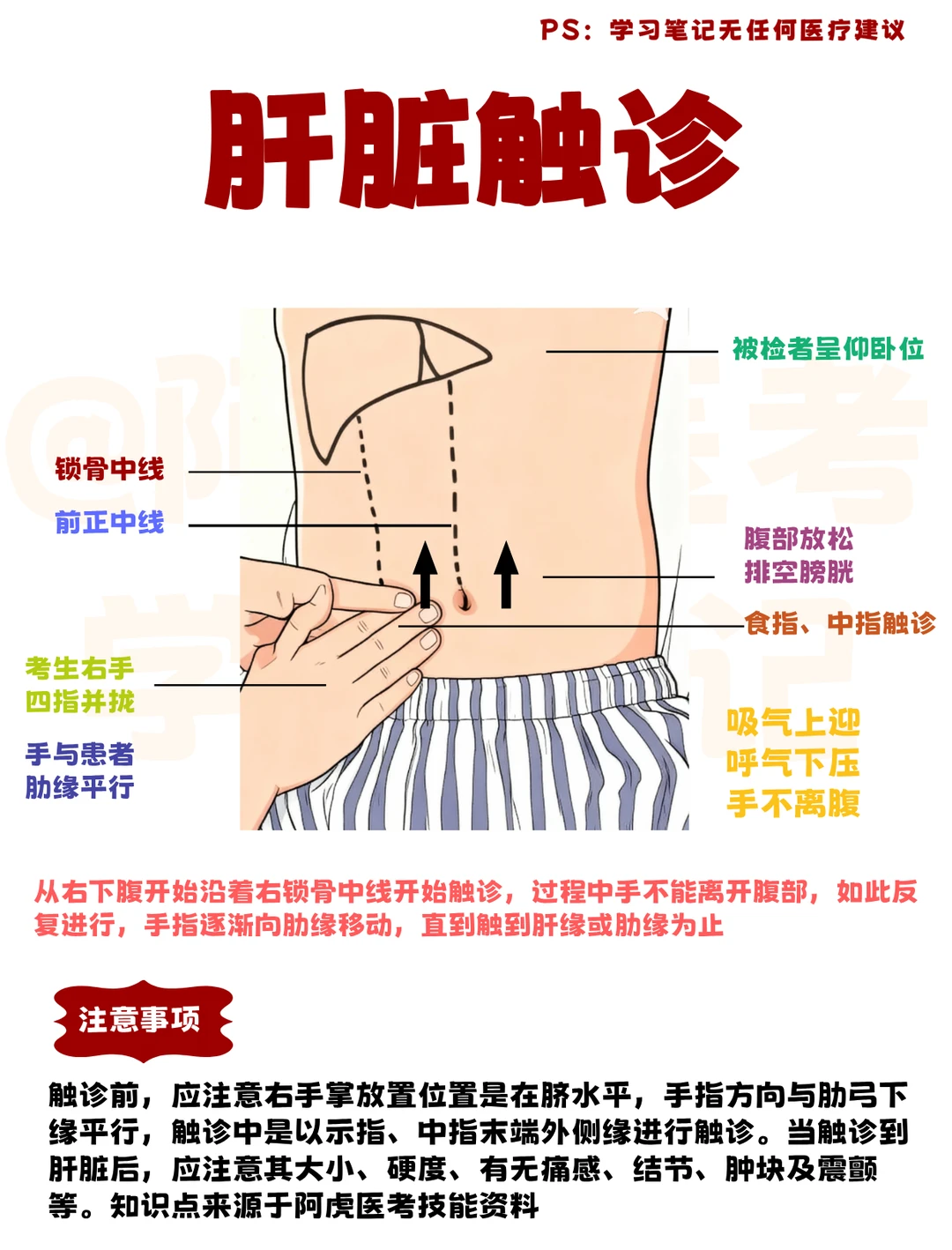 医学生笔记📖｜肝脏触诊