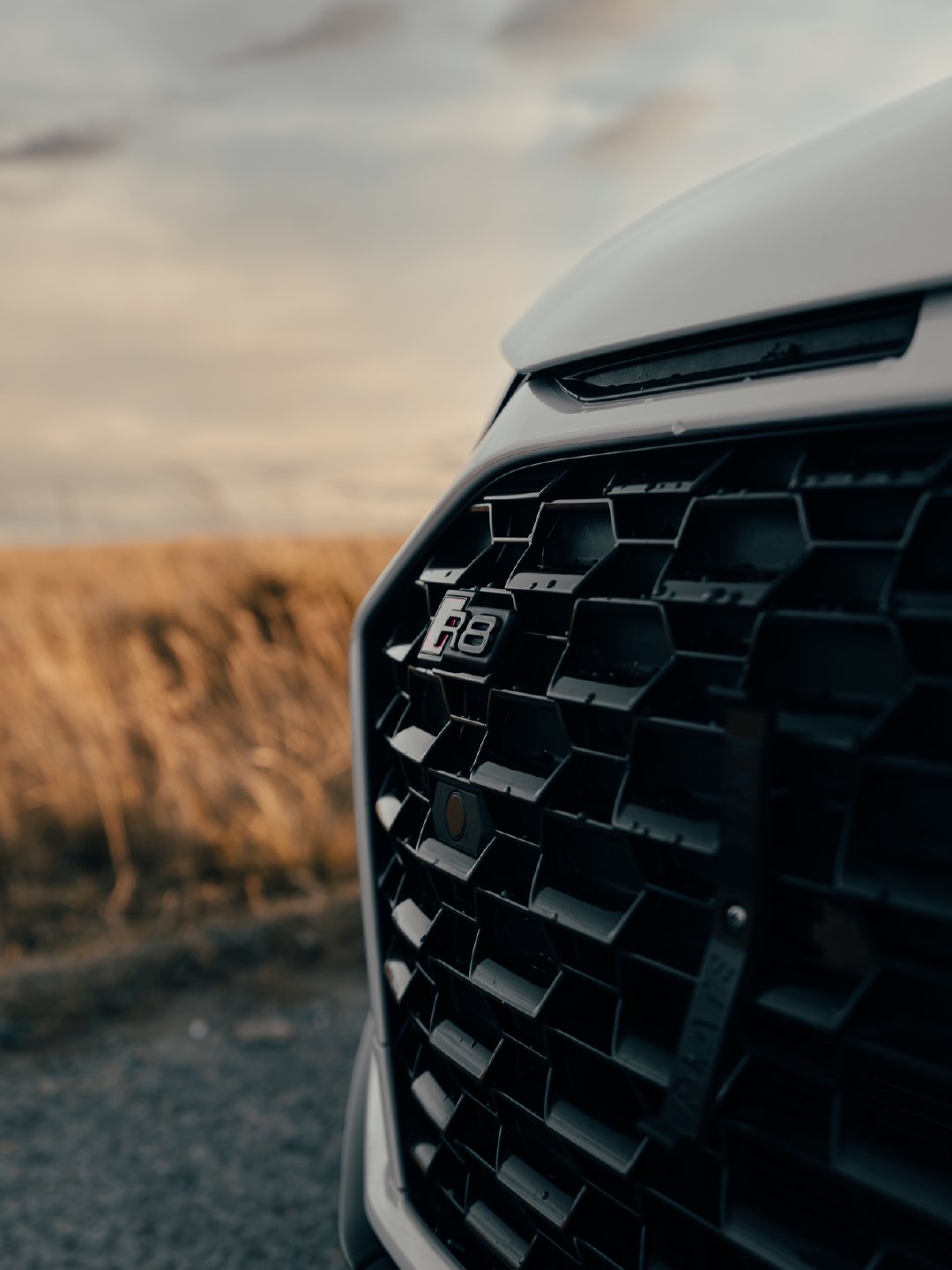 奥迪 R8 Performance ​