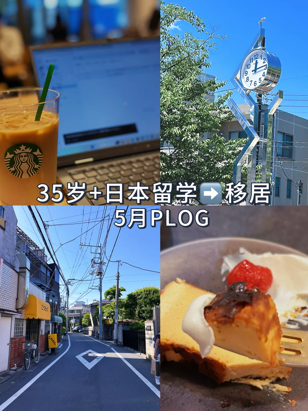 35岁+女生移居日本✈️在日就职的第一个五月