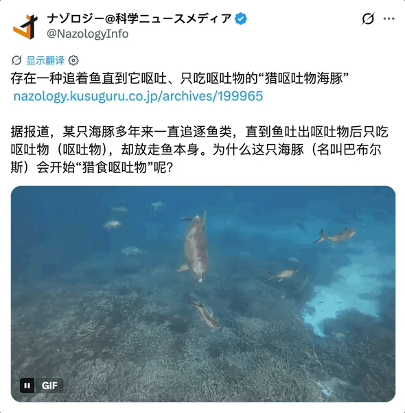 这只海豚喜欢吃其他鱼的呕吐物