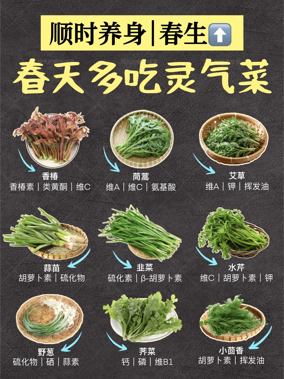 顺时养生｜9种应季菜，焕醒春日能量！