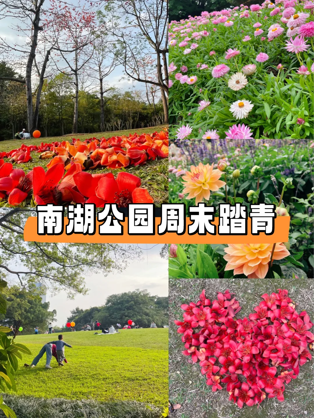 南湖公园0元拍照📸周末踏青充电好去处