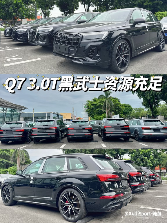 Q7 3.0T黑武士资源充足💯