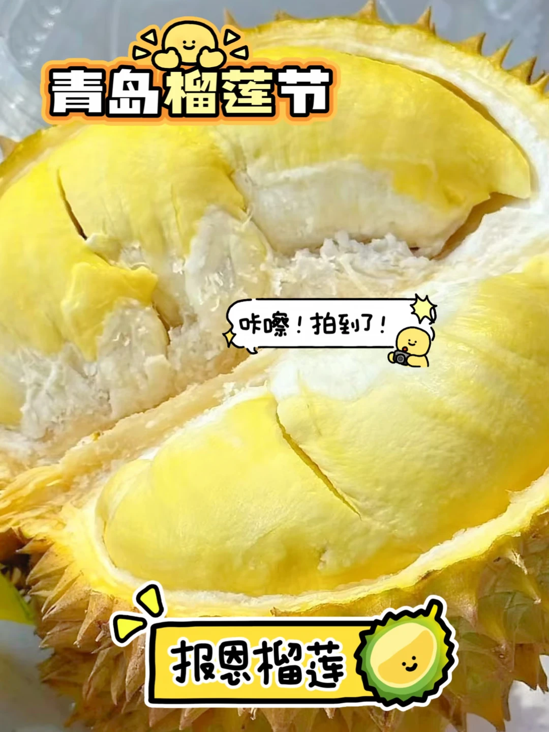 臭迷糊你！青岛首届榴莲节来啦