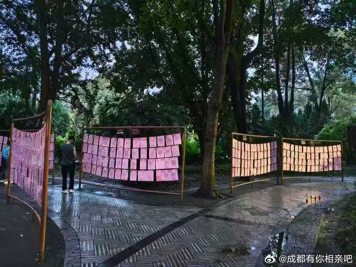 我们深耕婚恋行业，看多了被催婚的无奈。
24、25 岁开始被反复叮嘱，到年纪就要完成对应的人生大事。
催恋爱，催成婚，紧接着催生，仿佛人生有标准时间表。
家里弟弟到了适婚年龄，妈妈心急不已，只求早日把终身大事落实。
长辈不停催促，源于他们根深蒂固的顾虑：害怕晚年孤身一人，担忧老来无依。这 ​