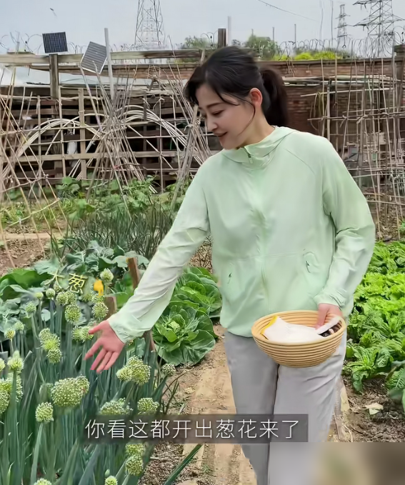 梅婷穿着绿外套蹲地里薅菜，转身就端上桌炒了。那视频里她跟73岁公公推小车、撒羊粪，一点没女明星包袱。
她家北京别墅后院，公婆常年打理，萝卜芋头大白菜一年不断档。颖儿、刘琳都去蹭过饭，萝卜汤配红酒，吃的是真有机。
曾黎更绝，一没戏就跑回荆州老家，青砖院里陪老妈松土浇水，素食配茶。
有人在名利场里