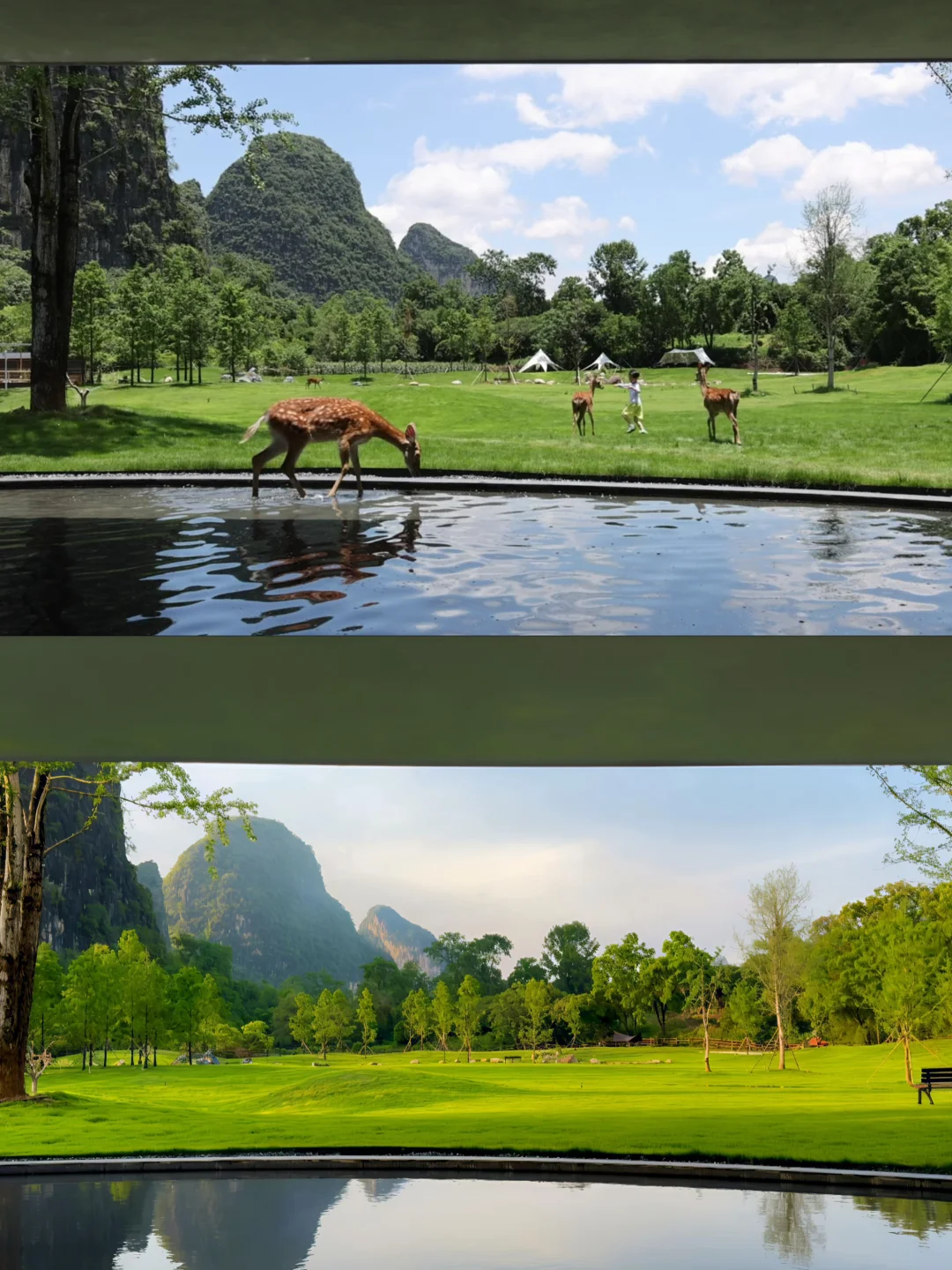 ‼️全网首发！阳朔新顶流民宿被我挖到了！‼️