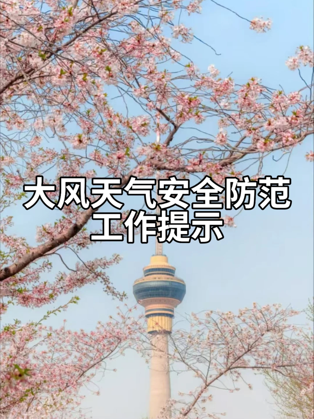 体制内：做好大风天气安全防范工作的提示