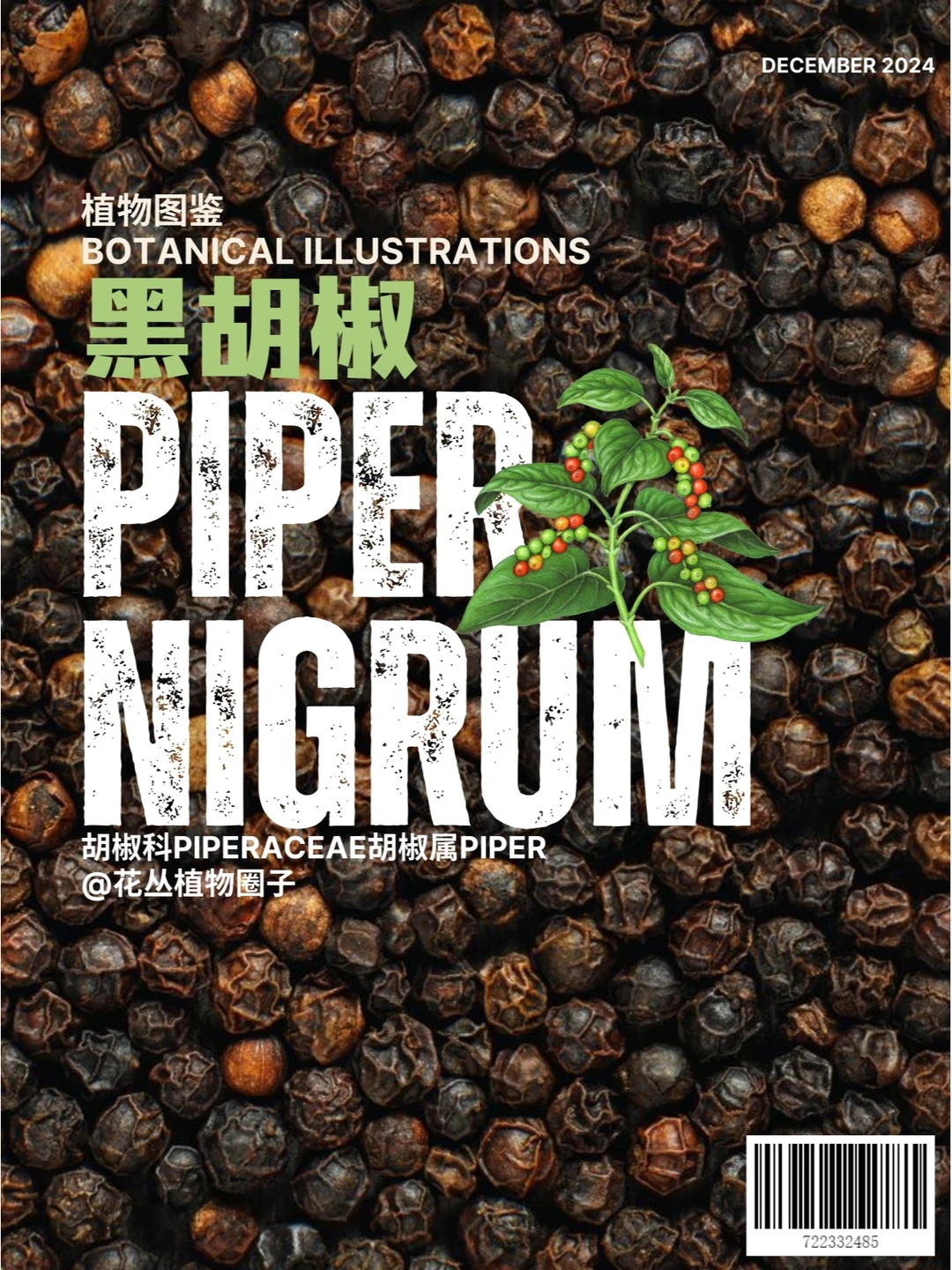 原来你是这样的胡椒