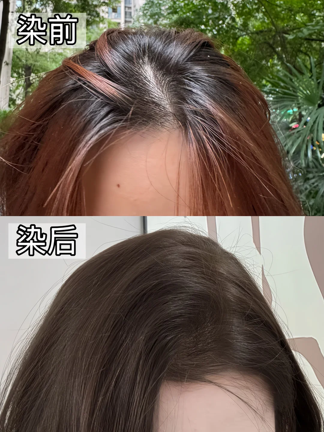 拯救布丁头（成功版！）