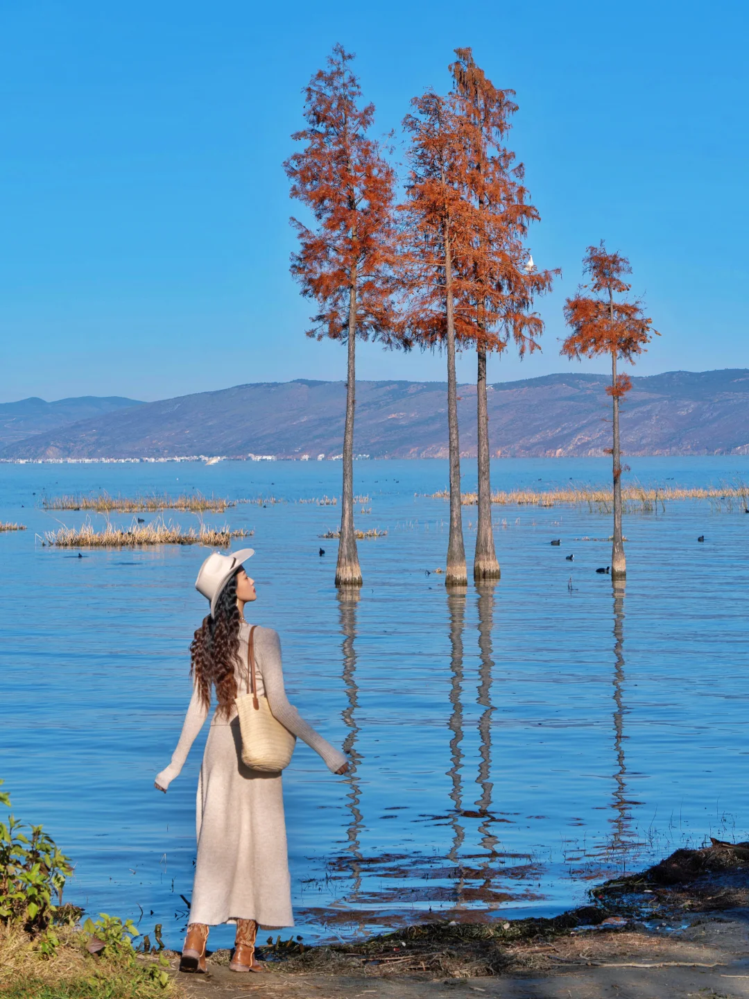 🍂听劝：来大理一定要花半天时间来这里！