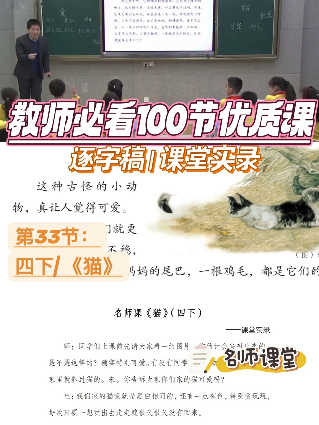 教师必看100节优质课|四下|猫|逐字稿