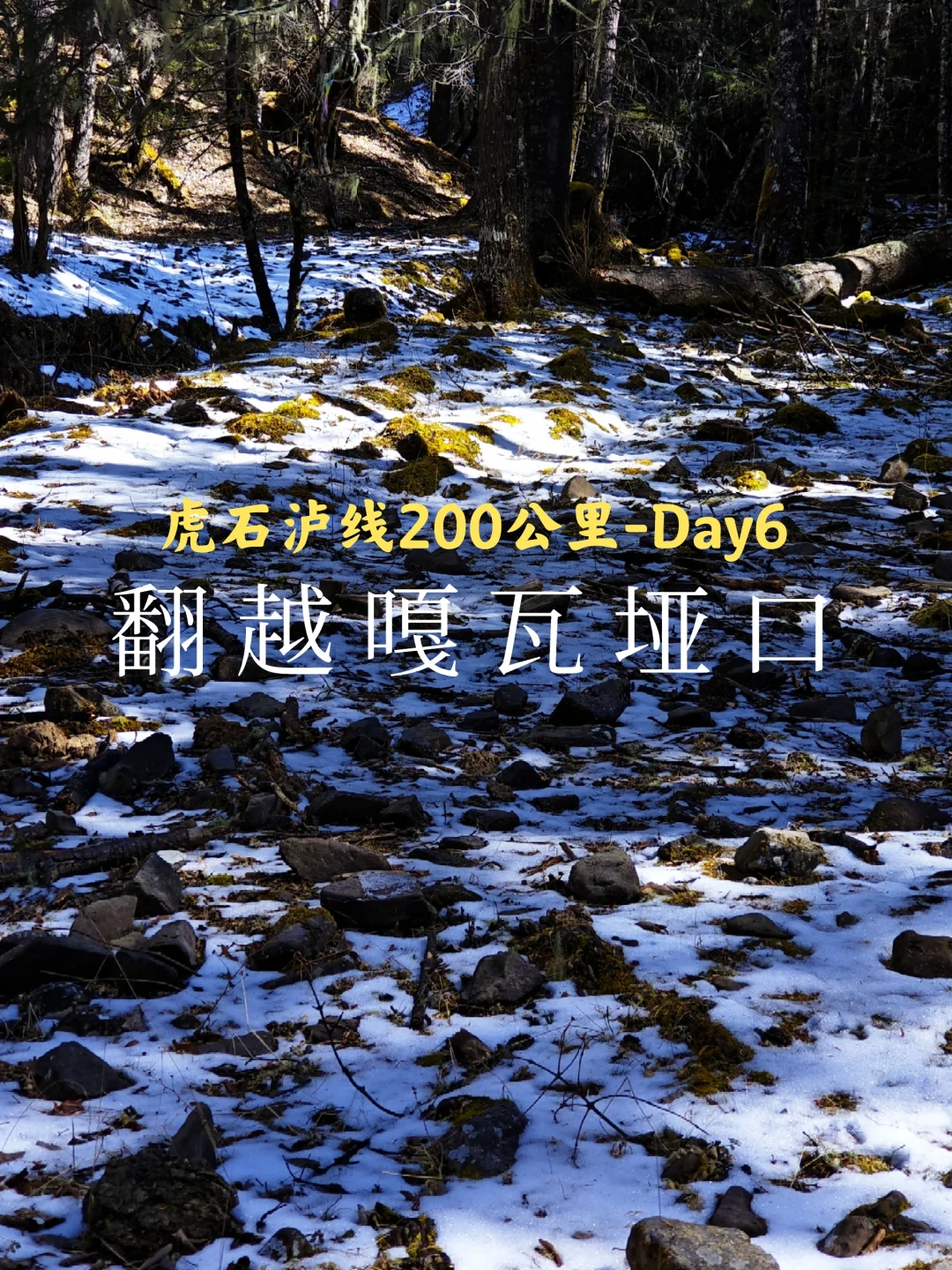 虎跳峡→石头城→泸沽湖：Day6翻越瓦哈山