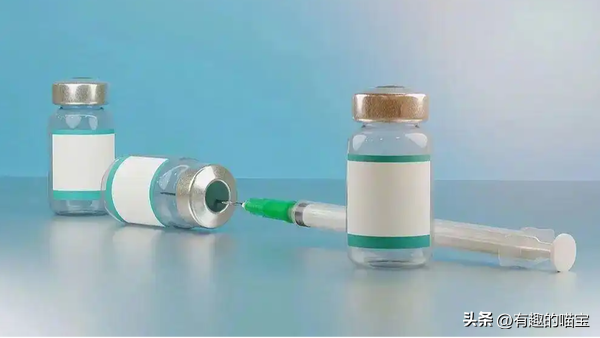 高血压患者不用天天吃药的日子，会不会真的要来了？
 
武汉华纪元生物研发的治疗性降压疫苗，Ⅰ期研究顺利达到预设终点，马上启动Ⅱ期临床。

这款疫苗的原理很特别，靠激发人体自身产生抗体来调节血压，一针的效果可以维持数月。
 
很多高血压病人最头疼的就是坚持服药，经常忘记吃药，血压控制不稳。这款疫苗如果