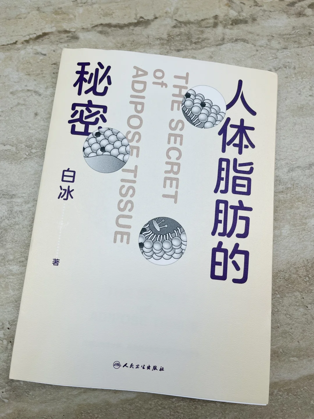 😱“肥胖”不只是因为吃多动少，还有…
