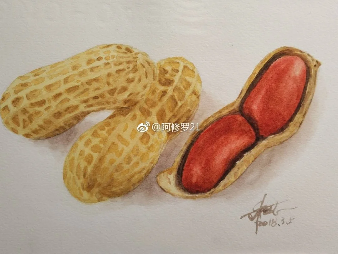 水彩。花生。