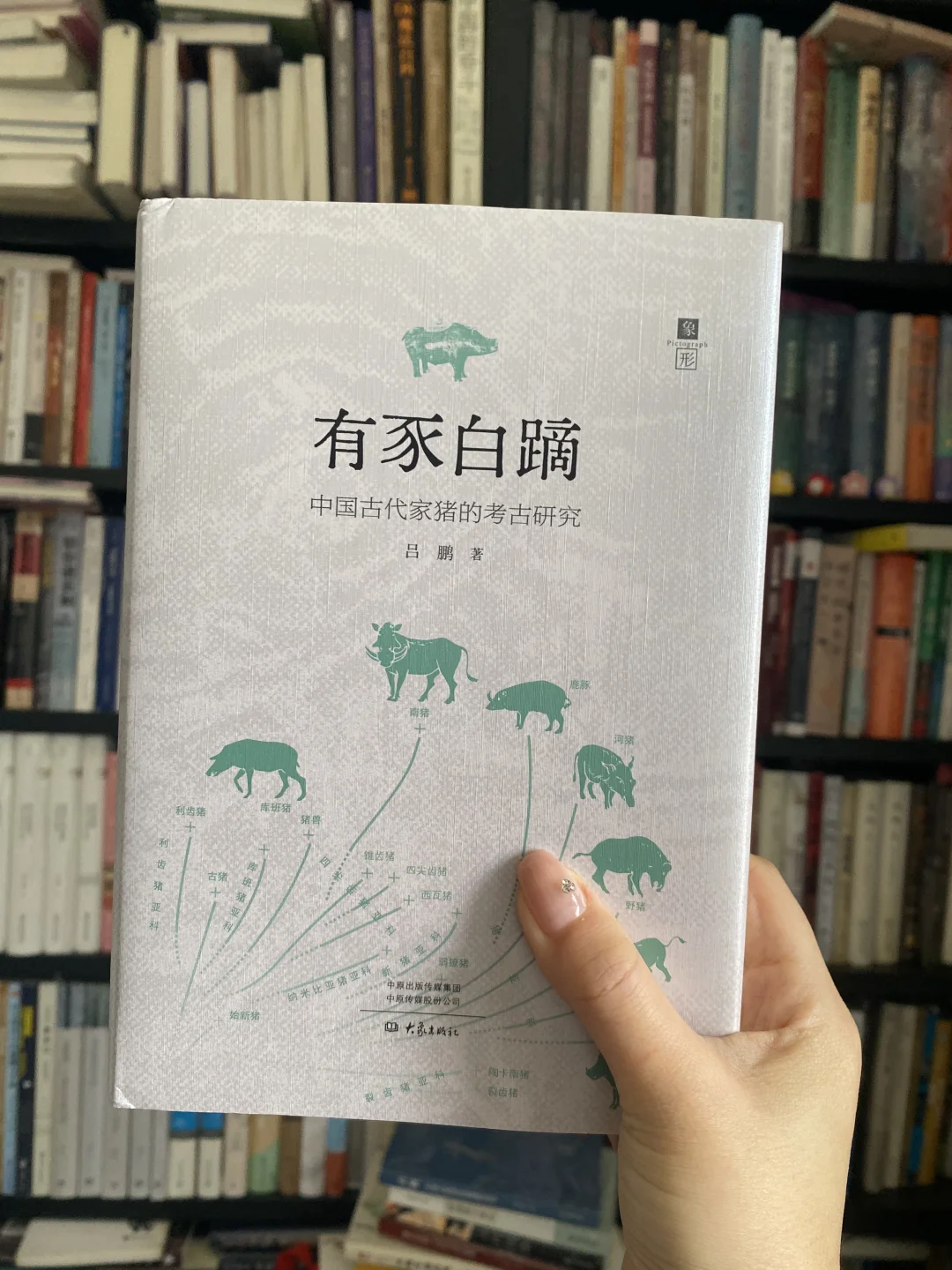 目前读过最特别的一本 | 中国古代家猪研究