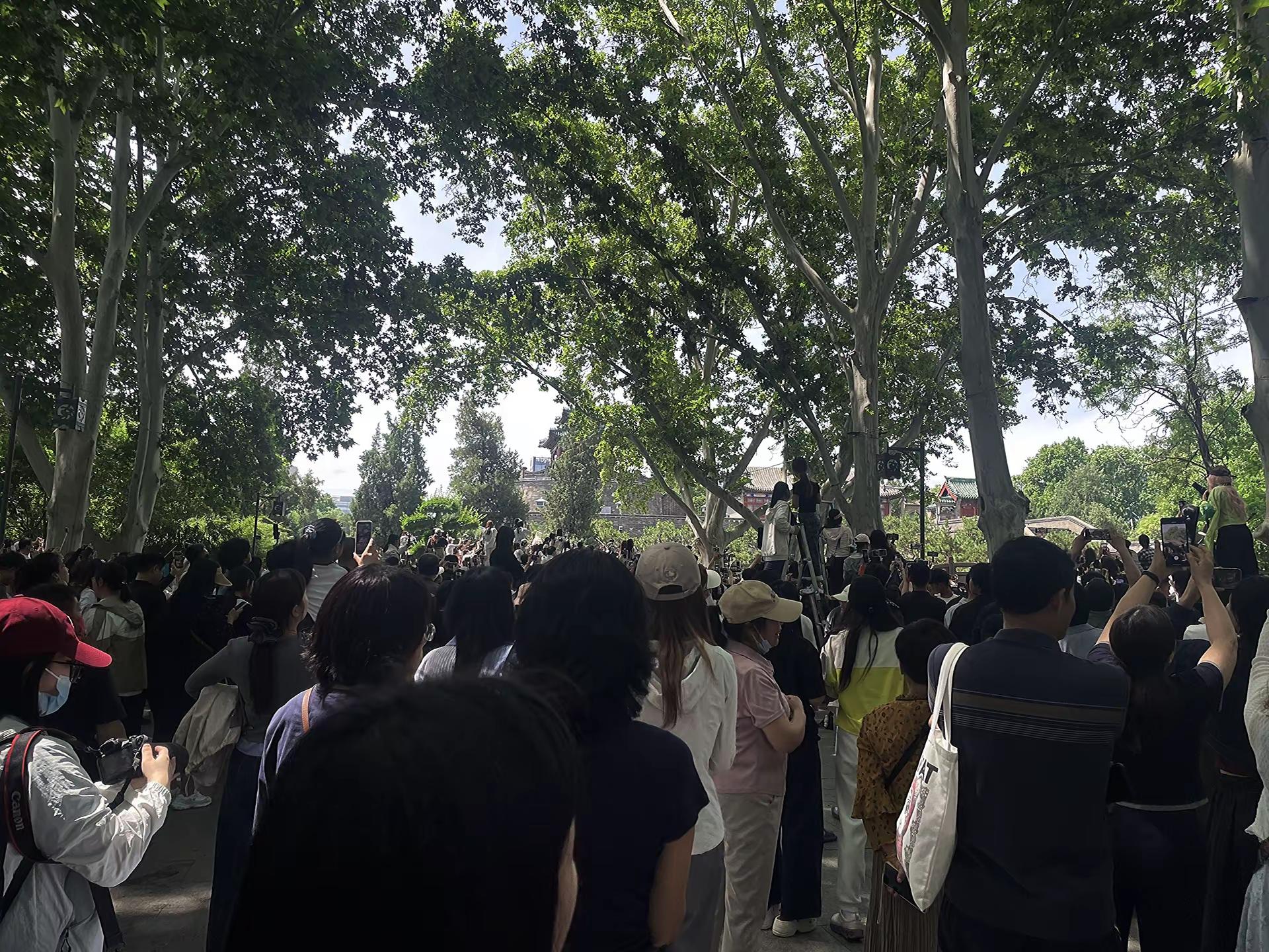 又要有一群小女孩去见日思夜想的人啦 张真源