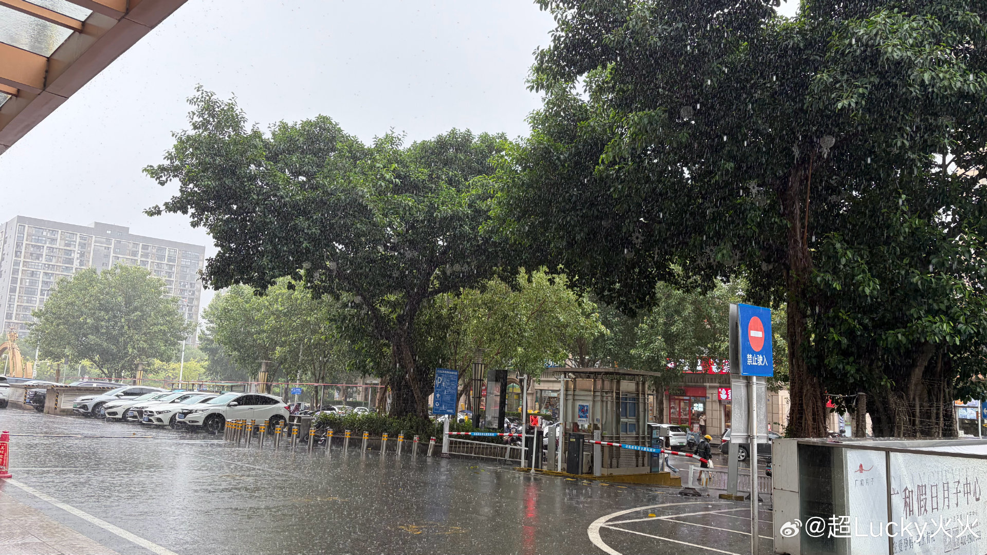 中午下大雨
导致我上班迟到了
最近的雨水真的太多了
一天下好几次雨
大概率是台风影响的
这种天气外卖快递员确实比较辛苦哈
感谢每位在路上奔跑的外卖快递员为我们提供便利的生活！ ​