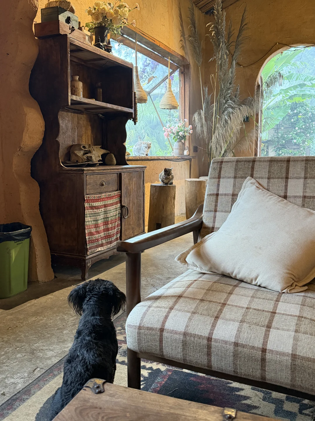 云上house能见度0，我却看到了理想生活☁️