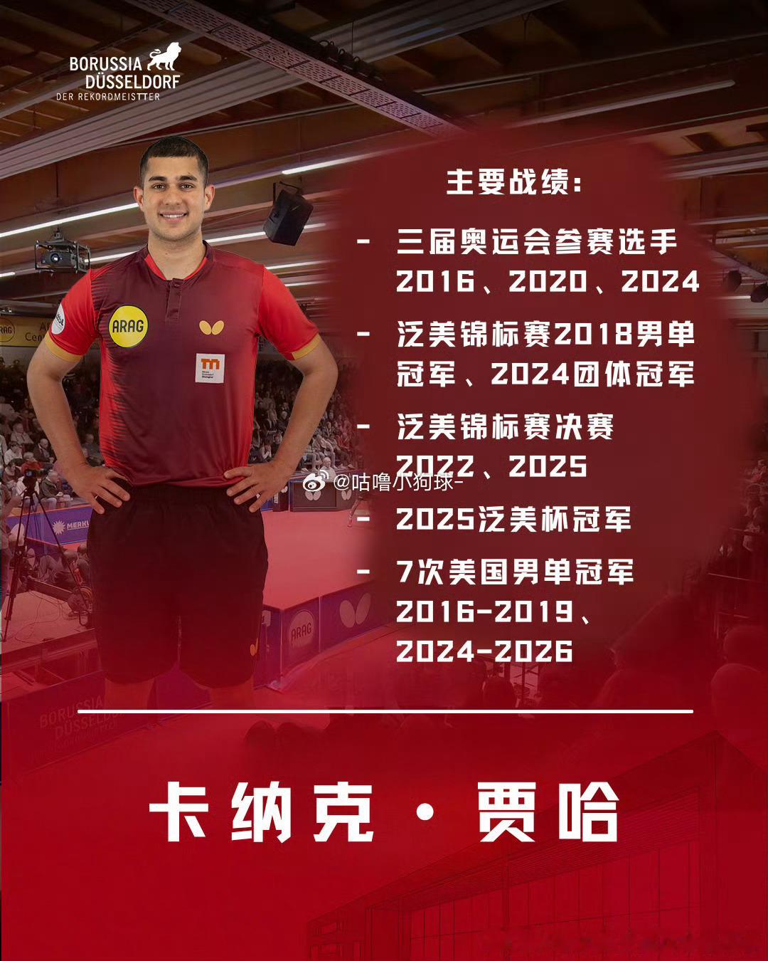 樊振东领衔“杜塞兄弟团”，全新阵容即将奔赴德甲新赛季征程。今夏樊振东...