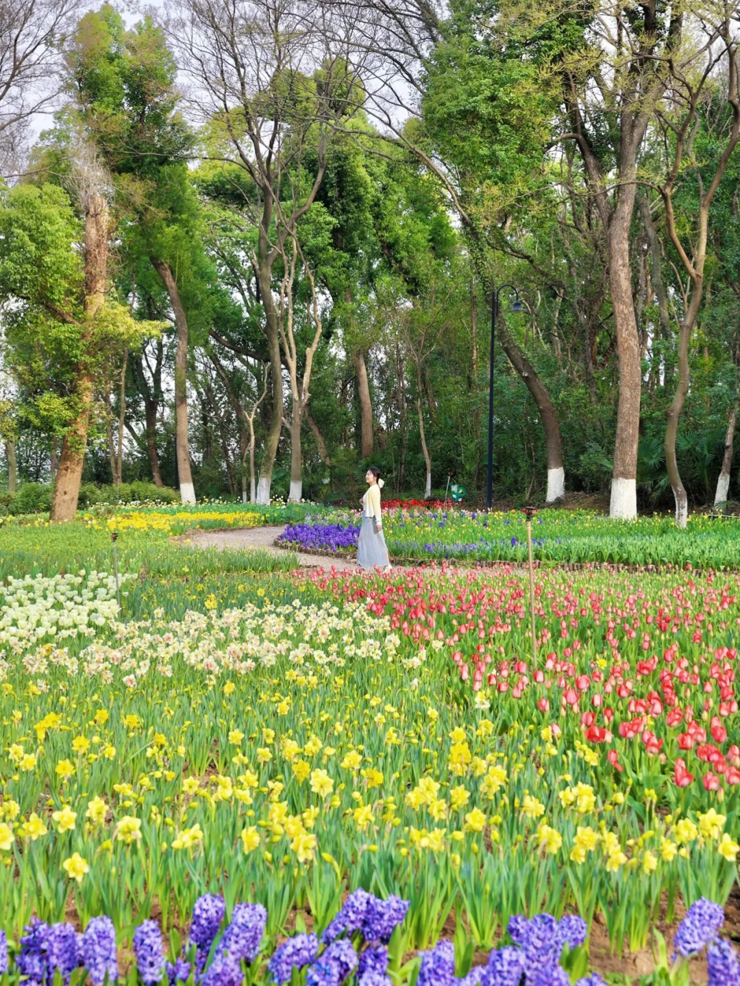 3.19实拍！东湖就是一个巨大的花园。。。附路线