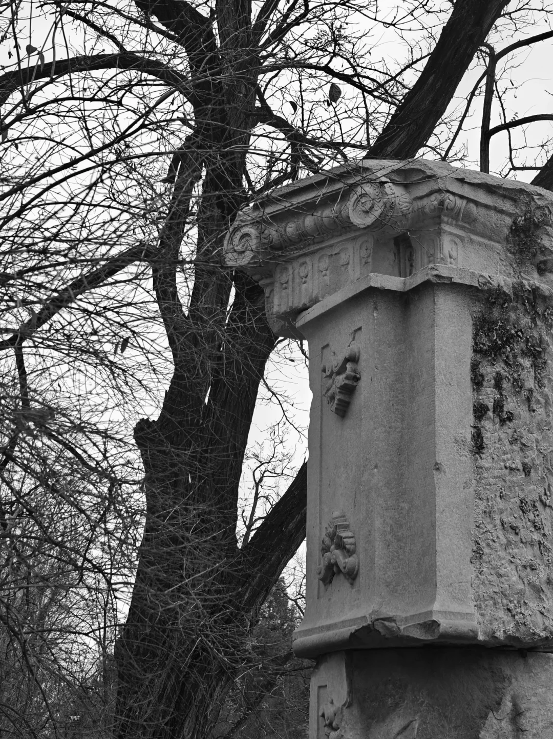 圆明园西洋楼掠影