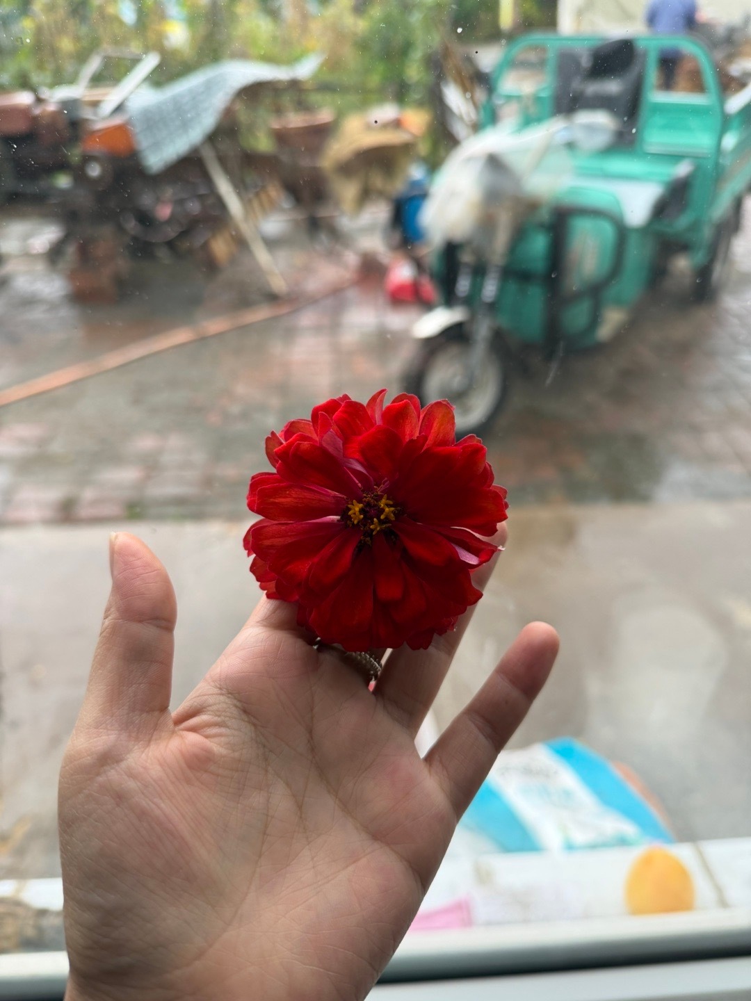 🌺的由来
今天我和🤴🏼一起走，早上特别堵车，就晚了，其实我自己很自责我说你再等会吧，然后我就说真的很堵车，他一直说没事，不着急，然后上车我就因为我自己晚了有点不高兴，他说没事儿，已经请假了，我当时更不高兴了（内心：赖我晚了呗）然后 我就耍了一路，然后他抽烟在车上，直接把烟灰弹 ​
