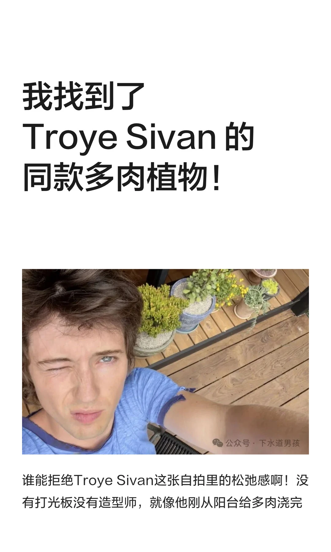 我找到了 Troye Sivan 的同款多肉植物！
