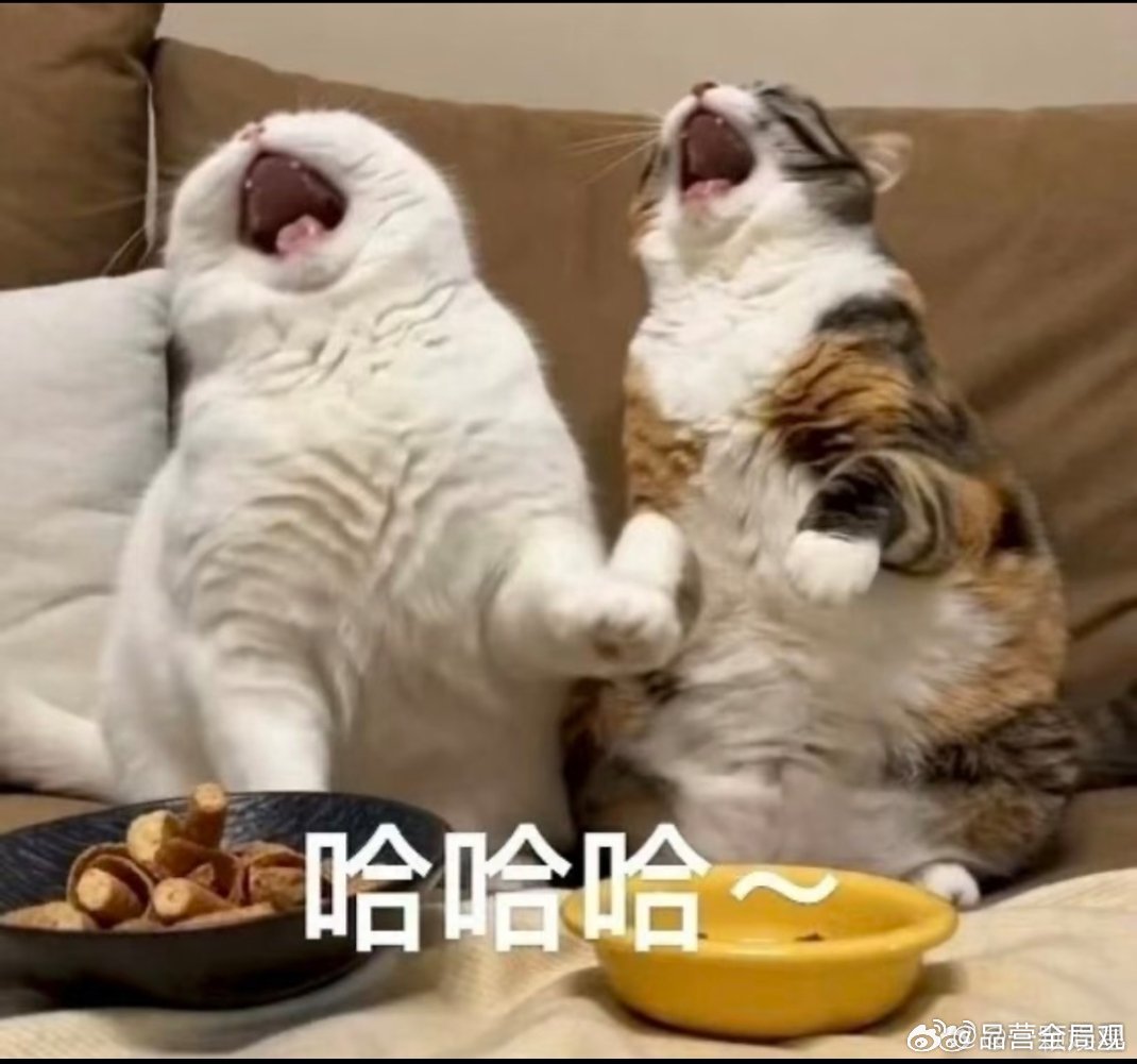 #孟子义江语晨合唱#唱的好 ​