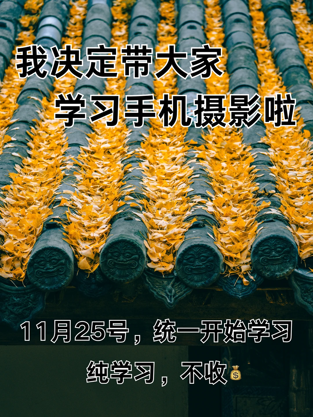 我决定带大家学习手机摄影啦！！