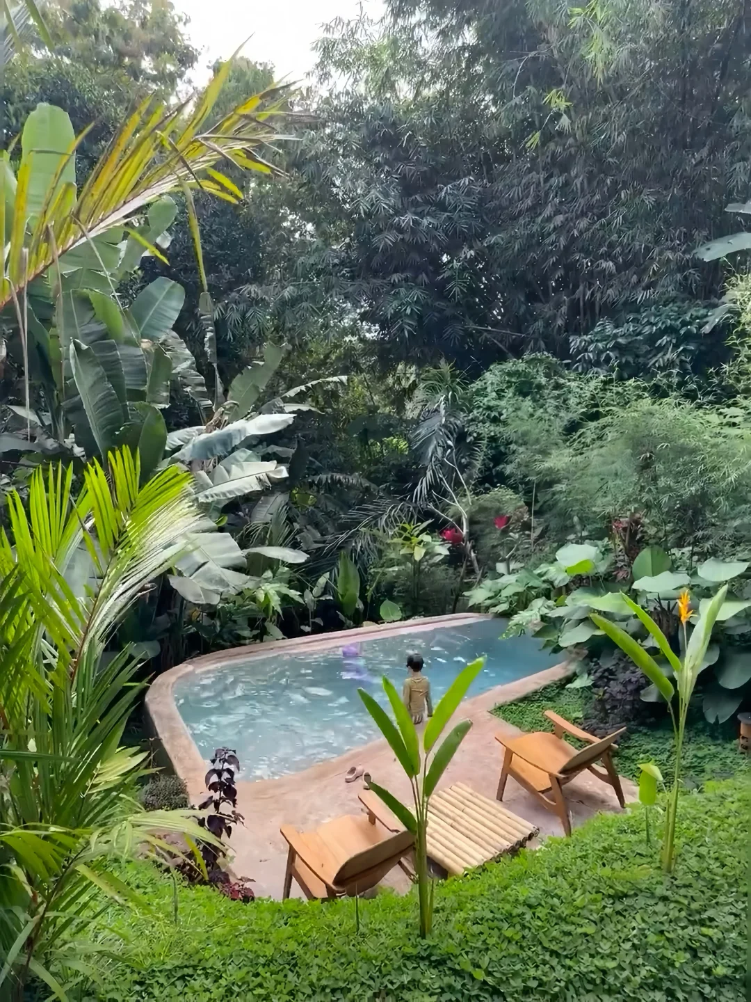 巴厘岛乌布🍃热带雨林中的宝藏Airbnb