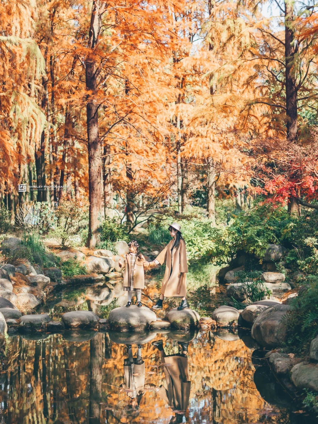 上海共青｜秋日倒计时，来绝美油画里遛个娃