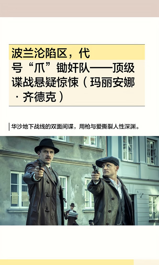 波兰沦陷区，代号“爪”锄奸队 谍战惊悚
