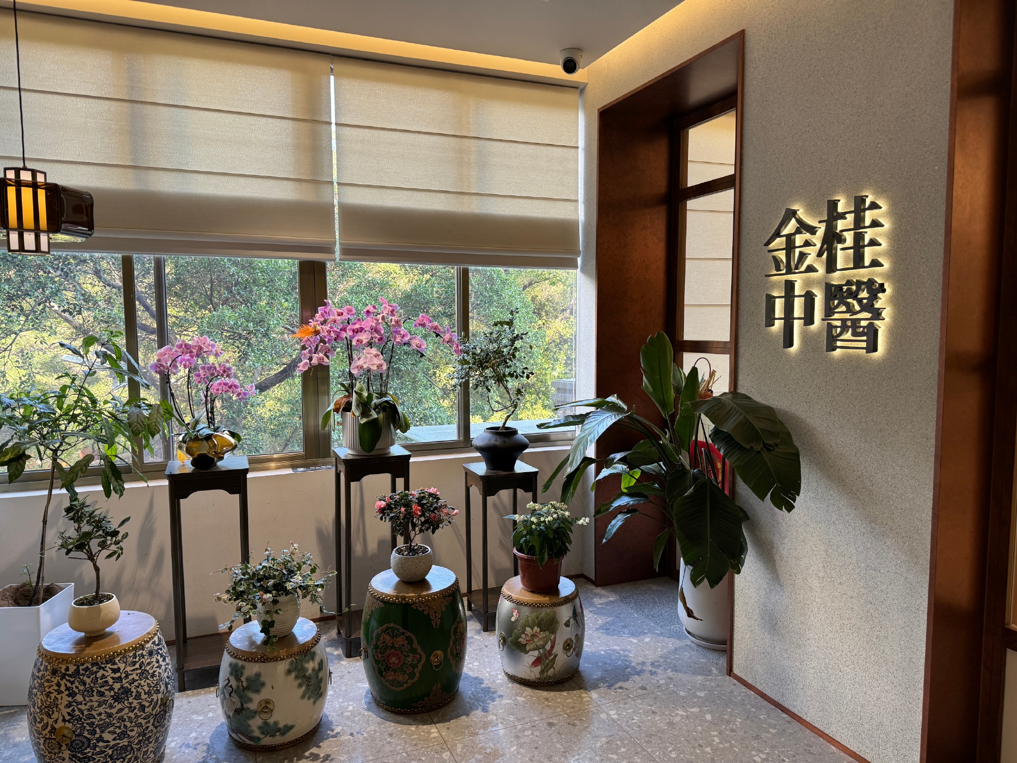 关注卜医生1557天的粉丝来啦  借此机会来到广州金桂中医看到了卜医生...