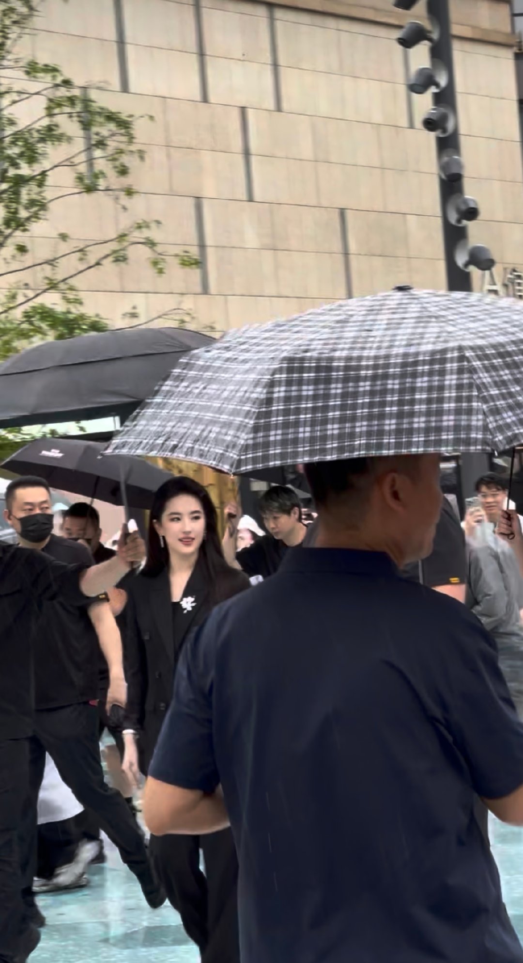 好伟大的一张脸#刘亦菲[超话]# ​