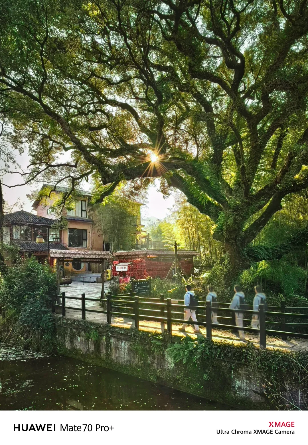 也没人跟我说冬天的丽水也这么美啊😭