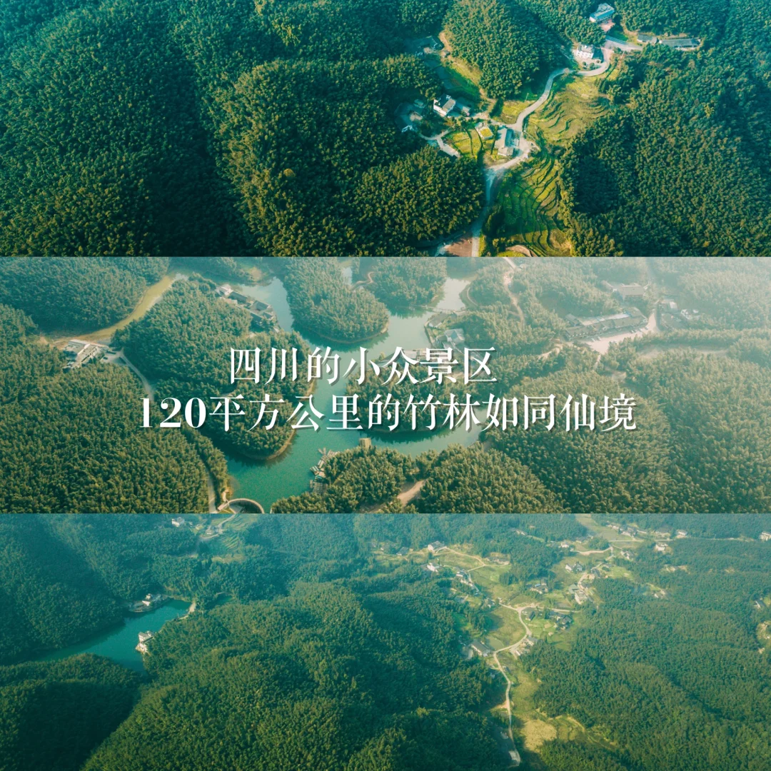 四川小众的森林仙境