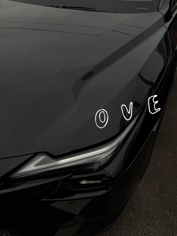 LEUXS LOVE