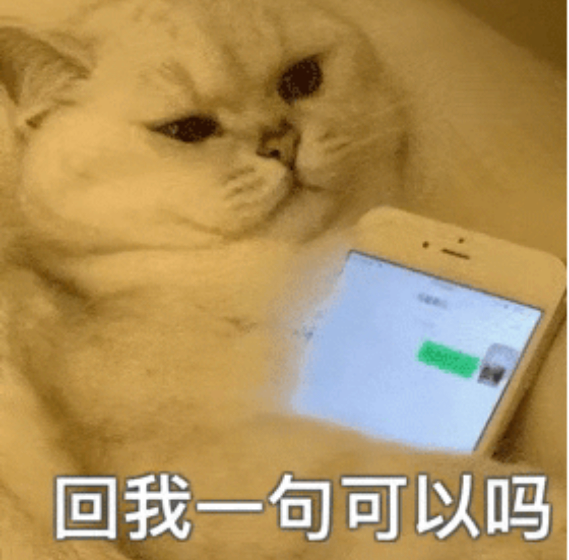 对付不回消息的表情包