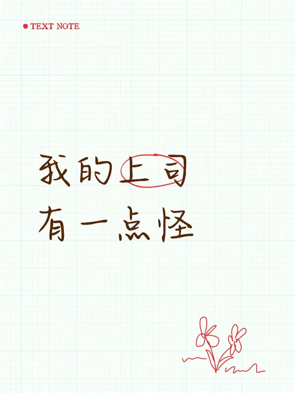 我的上司有一点怪