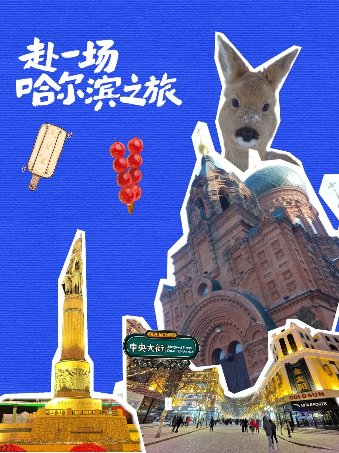 南方小土豆勇闯哈尔滨！保姆级攻略来咯📝