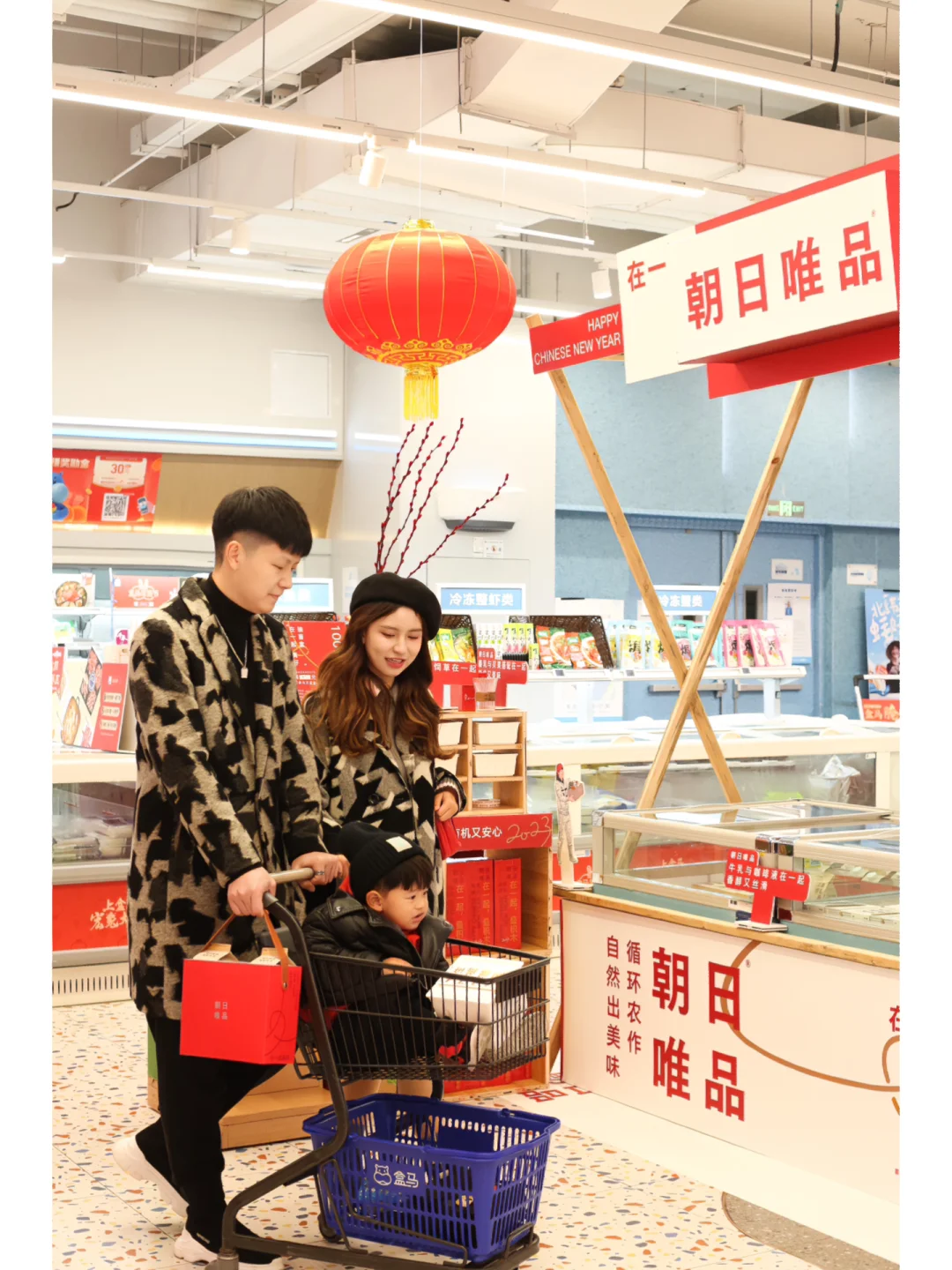 挑选年货上盒马🧧遇到了会回购一万次的酸奶