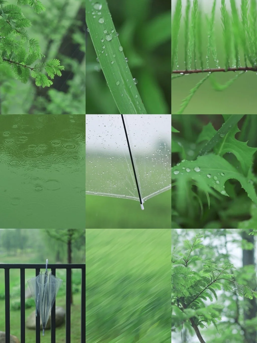 静物摄影/薄荷绿调色📝雨天这样调色YYDS