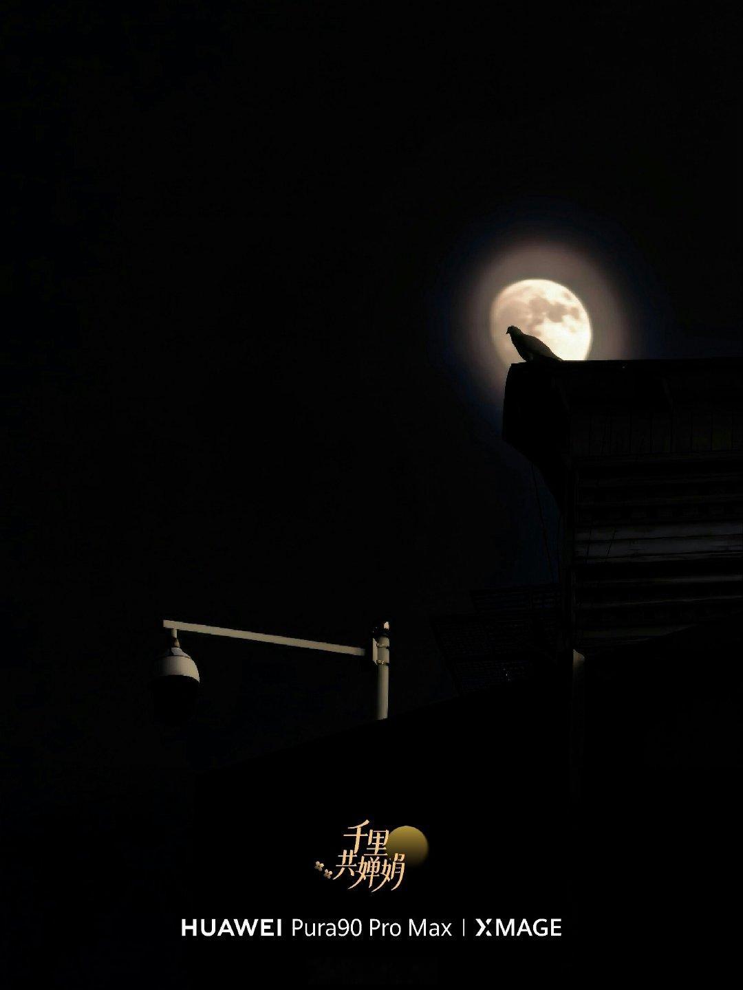 今天是#中秋节# ！

但愿人长久，千里共婵娟！🌙

📷 华为 Pura 90 Pro Max

#摄影灵感上新##我用快门摘月亮##微博影像年##人间着色##深圳#  ​